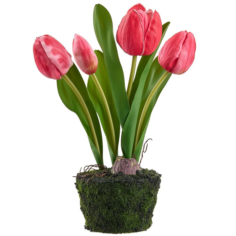10.5 Inch Tulip in Soil With Moss