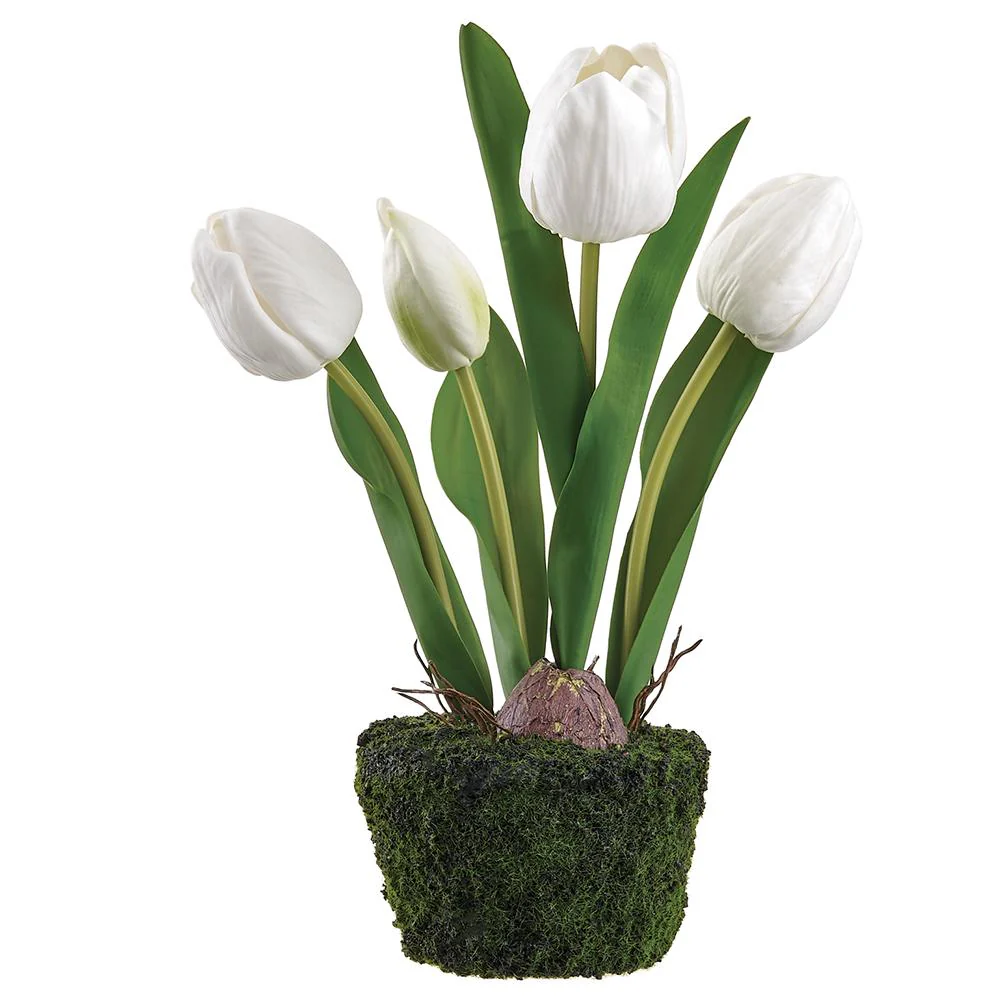 10.5 Inch Tulip in Soil With Moss - Image 3