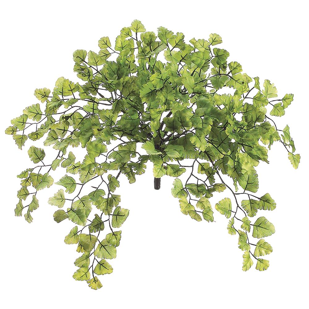 15 Inch Maidenhair Fern Bush