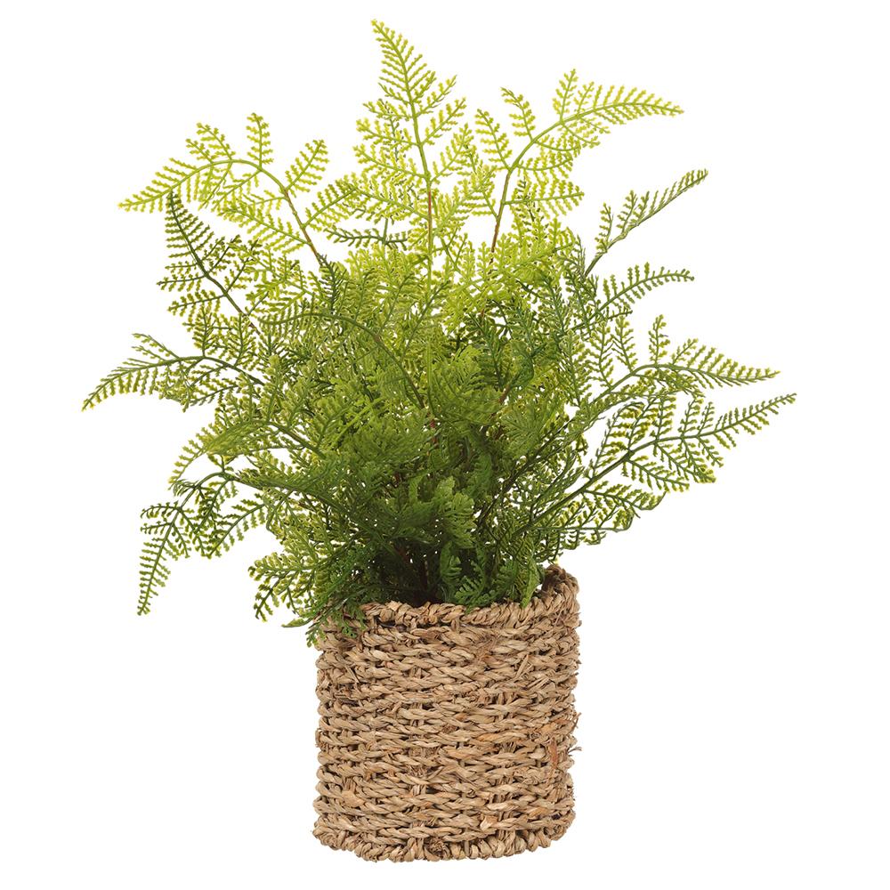 15" Leather Fern in Basket Green