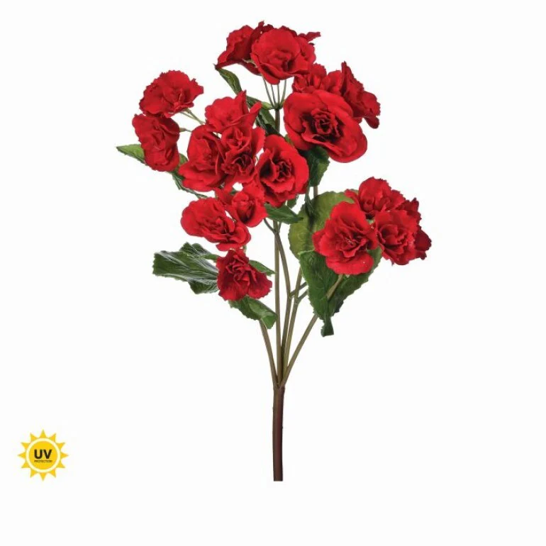 17" UV Summer Reiger Begonia Plant - Image 4