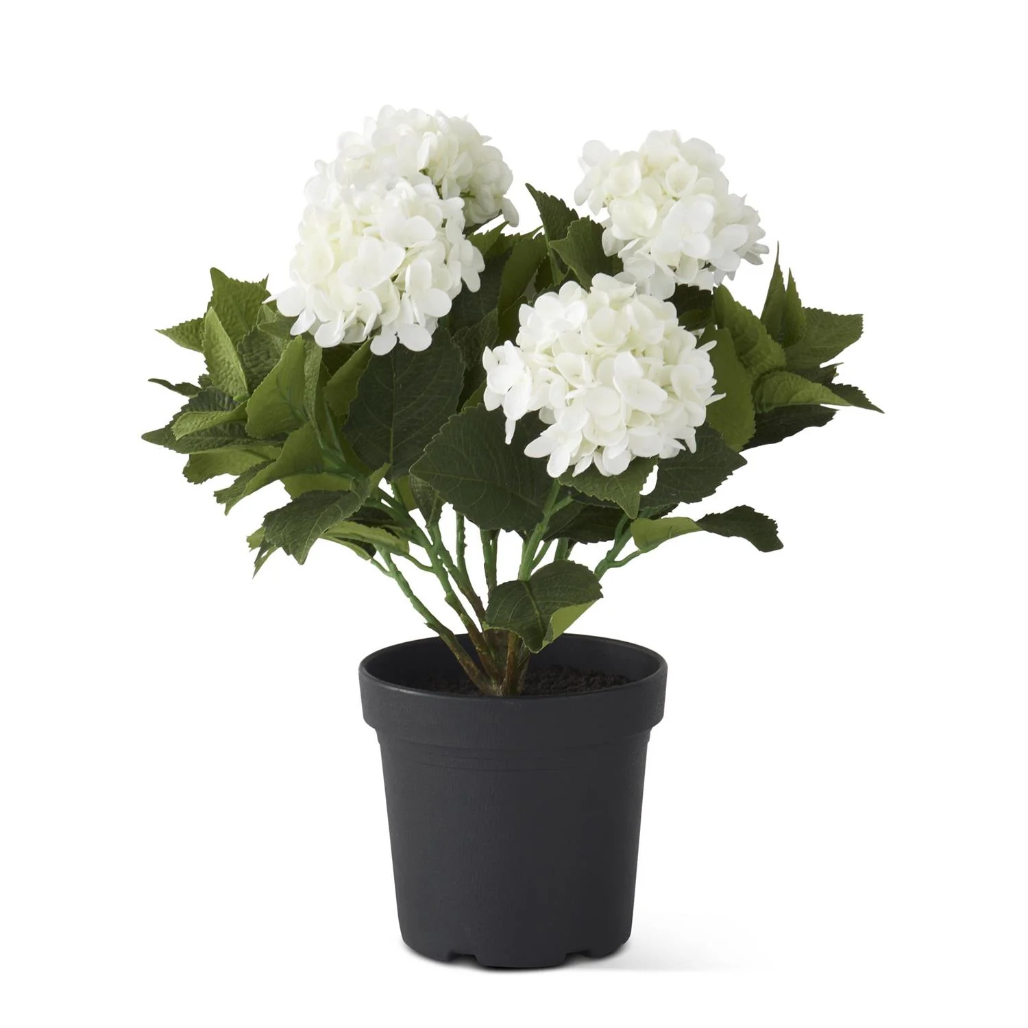 18.75 Inch 5 Bloom Potted Hydrangea with Faux Dirt