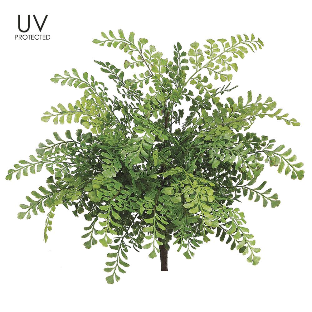 19" UV Protected Maidenhair Fern Bush Green - Image 2