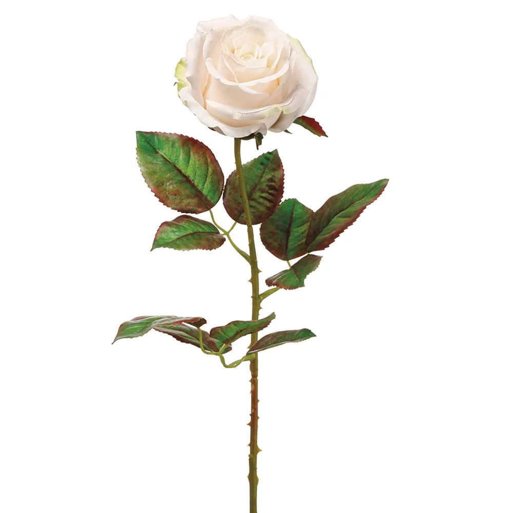20.5 Inch Ecuador Rose Spray - Image 2