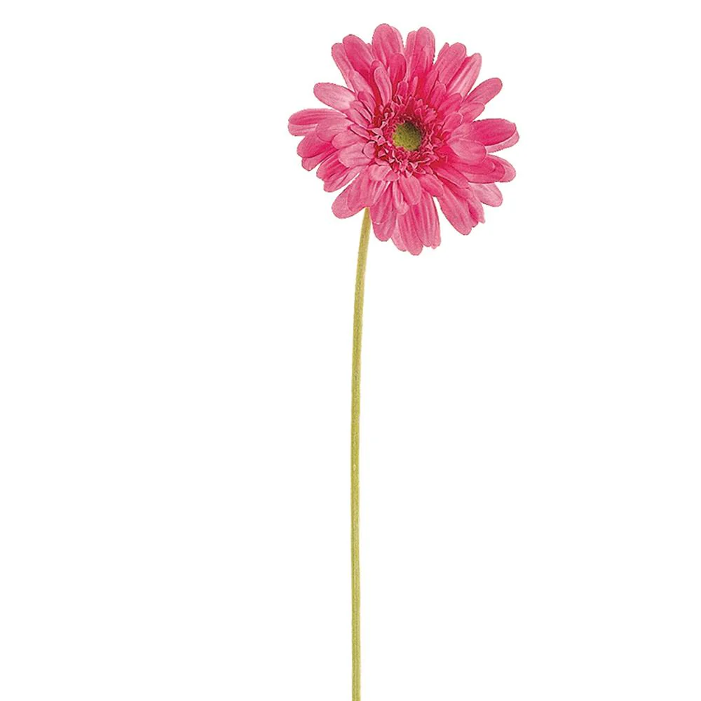 21.5" Medium Gerbera Daisy Spray