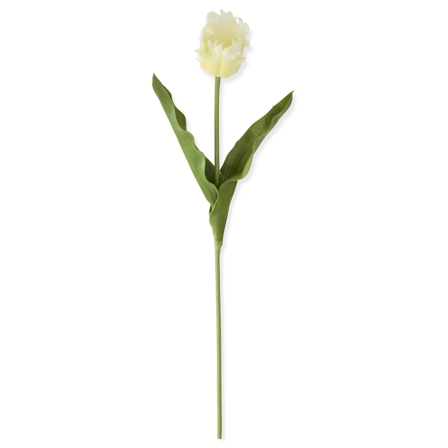23 Inch Real Touch Parrot Tulip