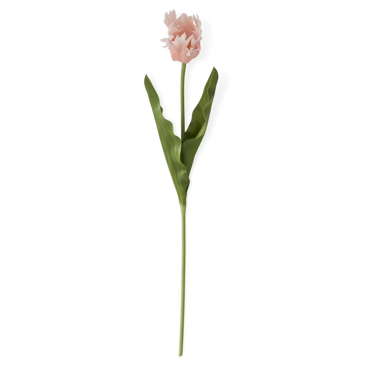 23 Inch Real Touch Parrot Tulip - Image 6