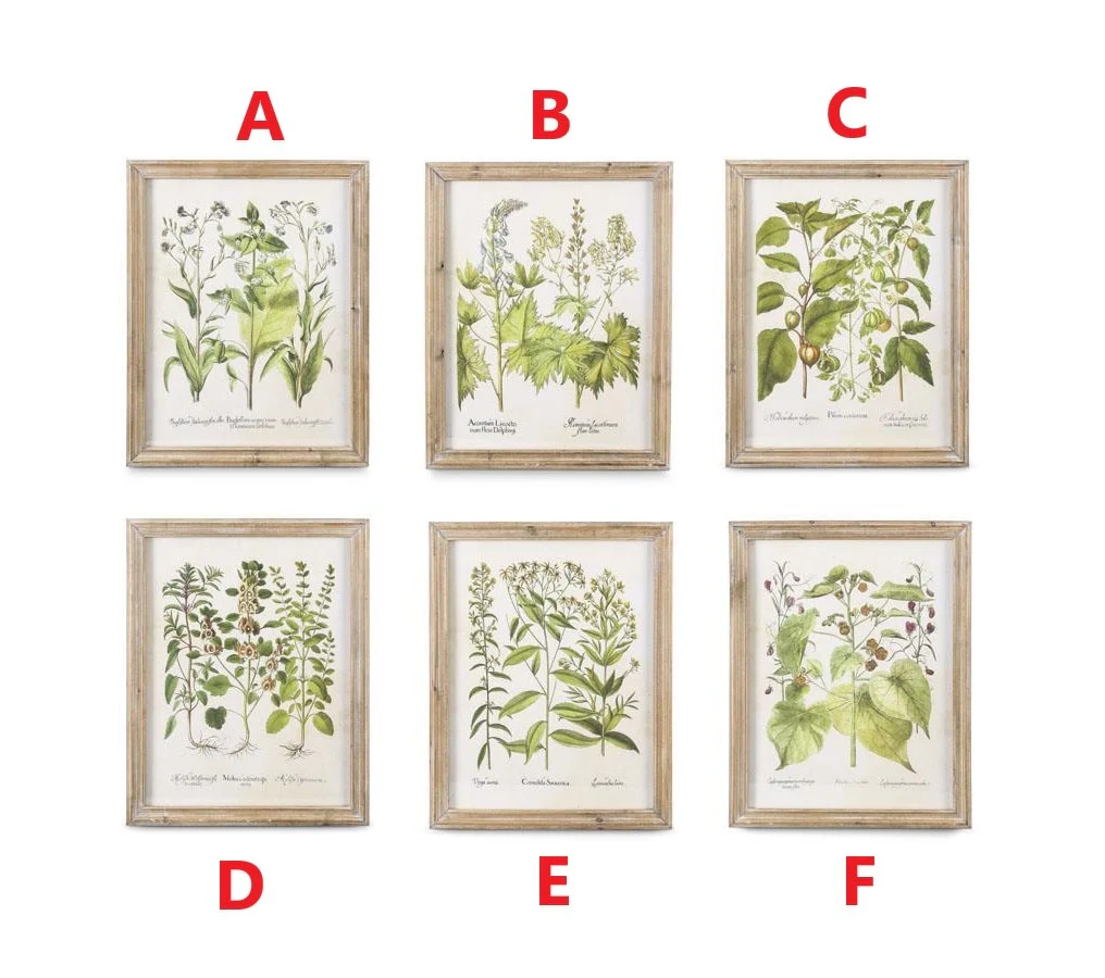 23 Inch Wood Framed Botanical Prints
