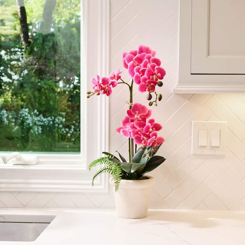 23" Phalaenopsis and Fern in Terracotta Pot - Image 3