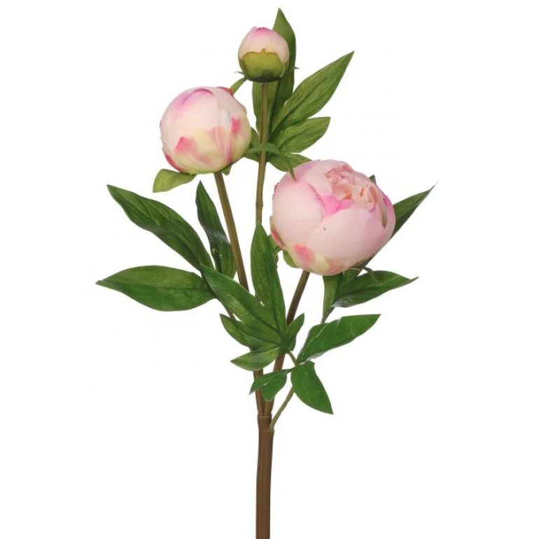 25" Just Cut Peony Bud Spray