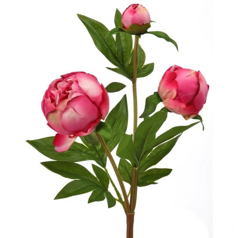 25" Just Cut Peony Bud Spray - Image 5