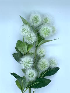 25" Krameria Spray - Image 2