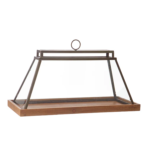 25.5" Terrarium - Image 2