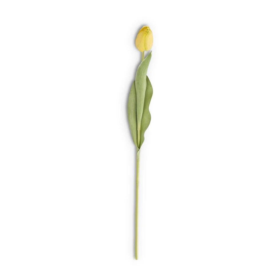 26.75 Inch Silk with Real Touch Single Tulip Stem - Image 7