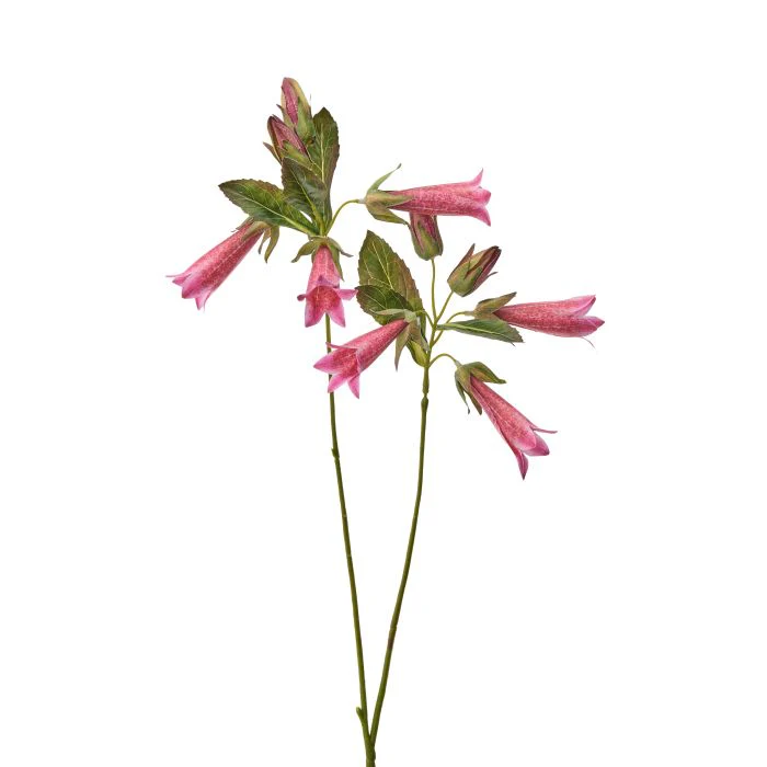 27" Hummingbird Flower - Image 3