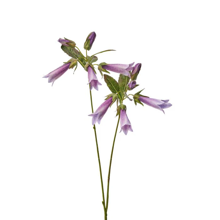 27" Hummingbird Flower - Image 4