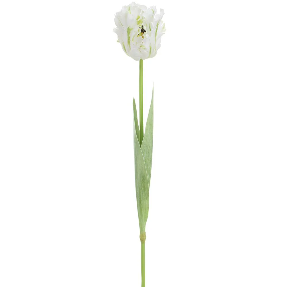 27 Inch Parrot Tulip Spray - Image 2