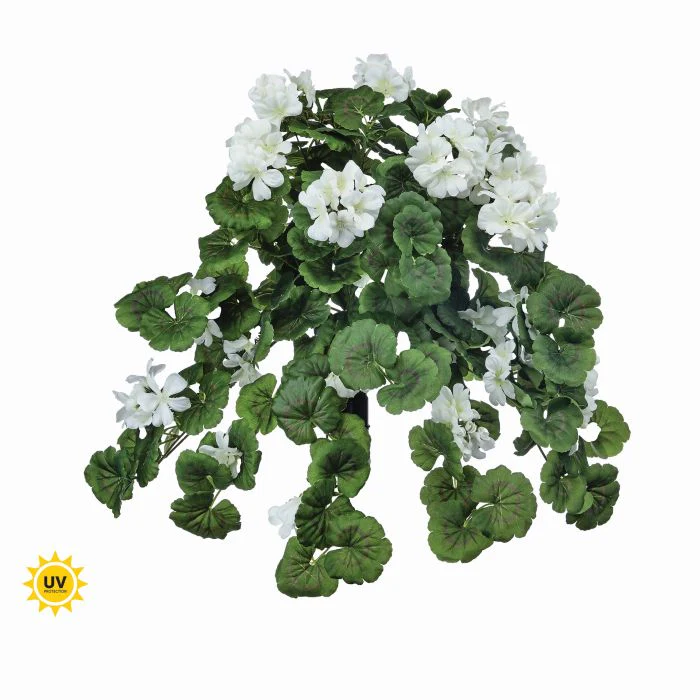 27” Uv Hanging Geranium Plant