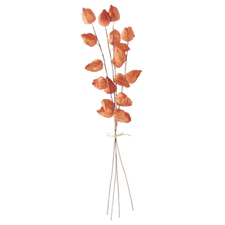 28.5 Inch Orange Chinese Lantern Bundle (4 Stems)