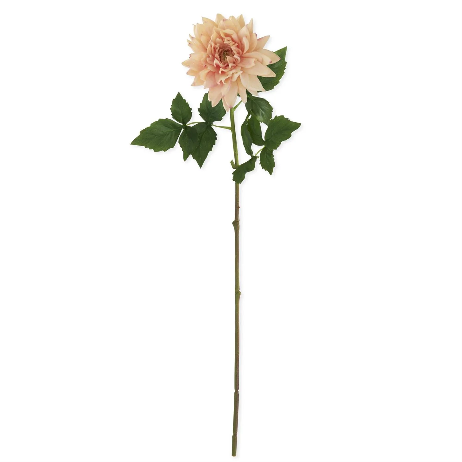 29'' Peach Real Touch Dahlia Stem