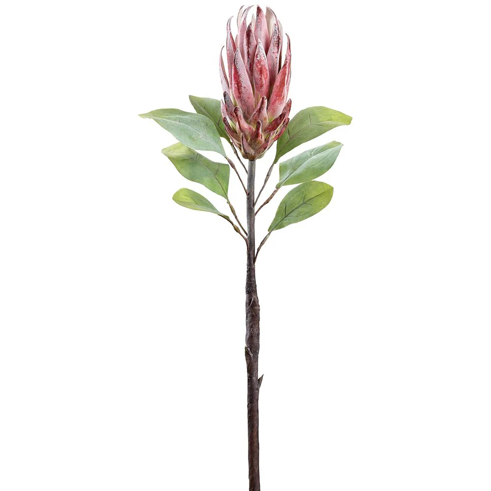 29" Protea Spray - Image 3