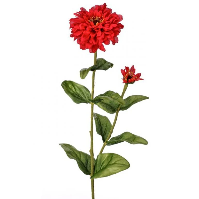 30" Garden Zinnia Bud - Image 4