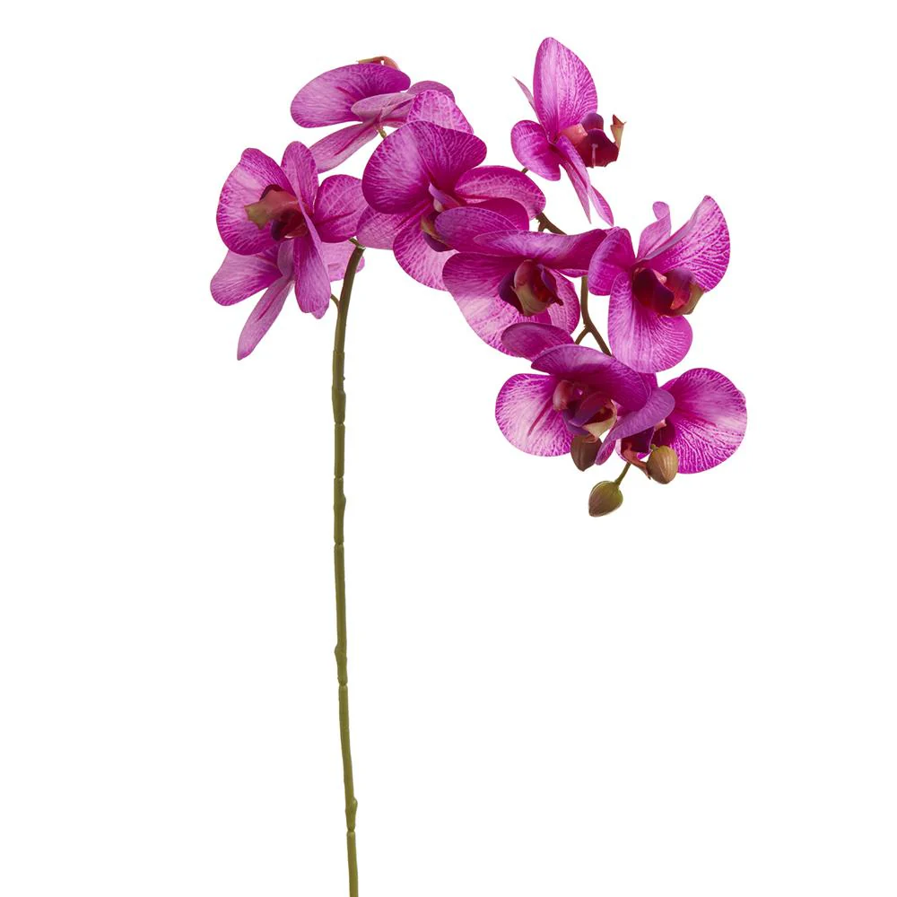 30 Inch Phalaenopsis Orchid Spray With 9 Flowers Violet