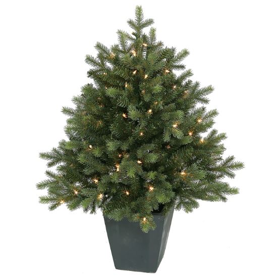 36"Lit Potted Green Spruce Tree