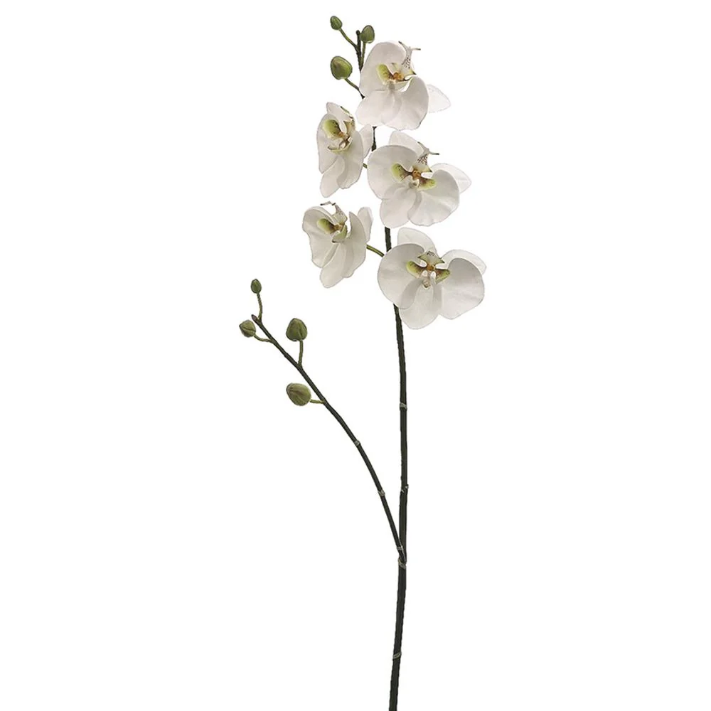 38 Inch Phalaenopsis Orchid Spray