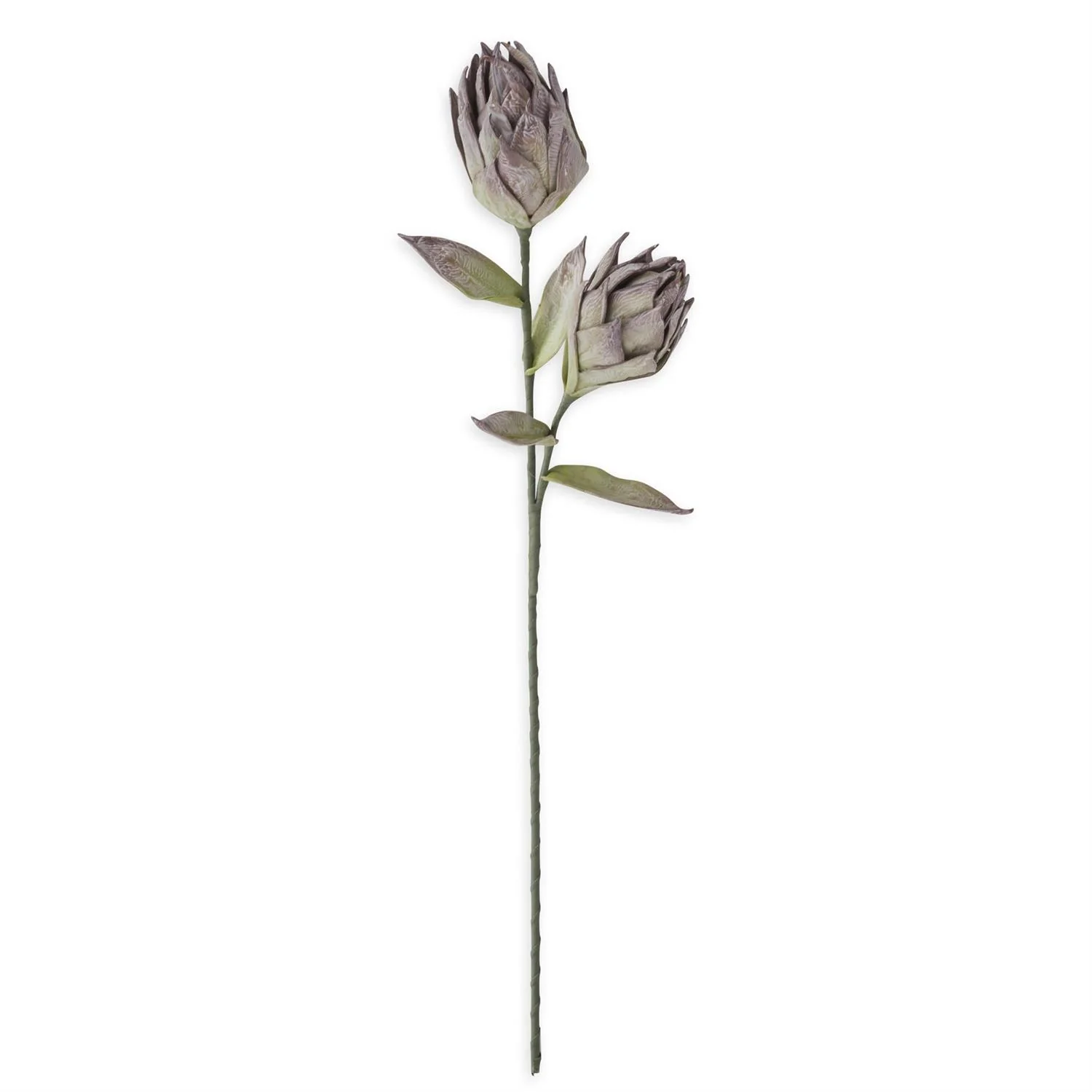 39 Inch Purple & Green Eva Two Bloom Stem