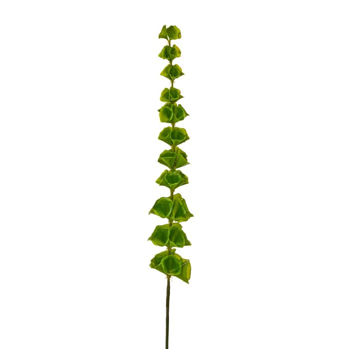 43” Bells of Ireland Stem