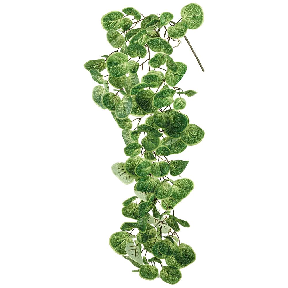 43" Nasturtium Vine Green