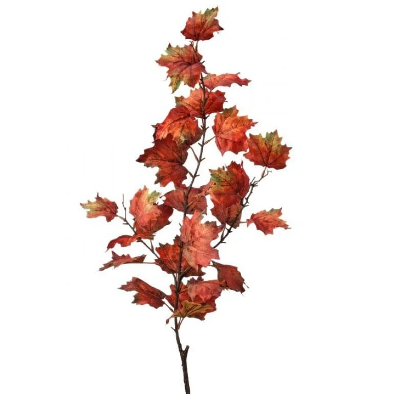 47" Northern Vermont Maple Spray - Image 4