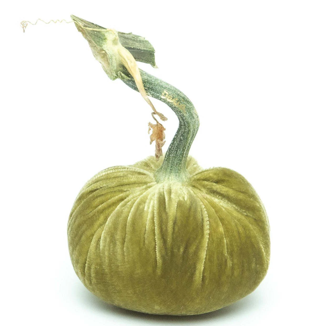 5" Velvet Pumpkin - Image 5