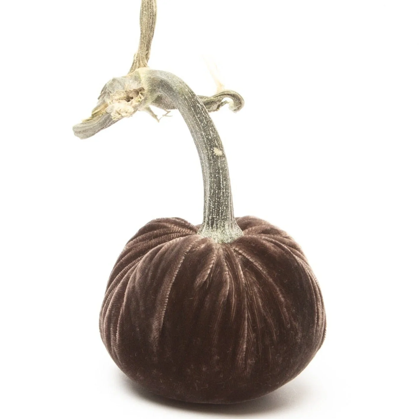 5" Velvet Pumpkin - Image 62