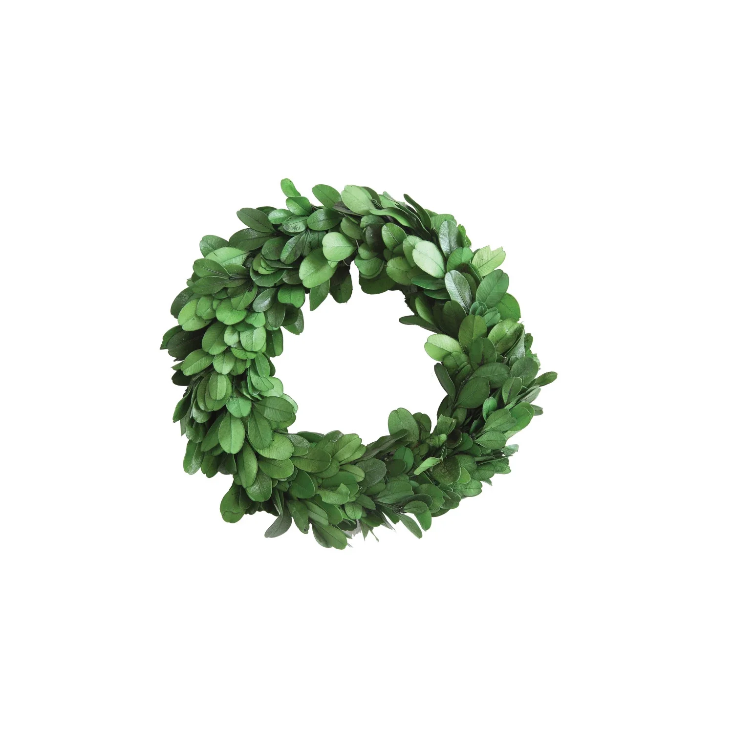 6" Round Preserved Boxwood Wreath - Image 4