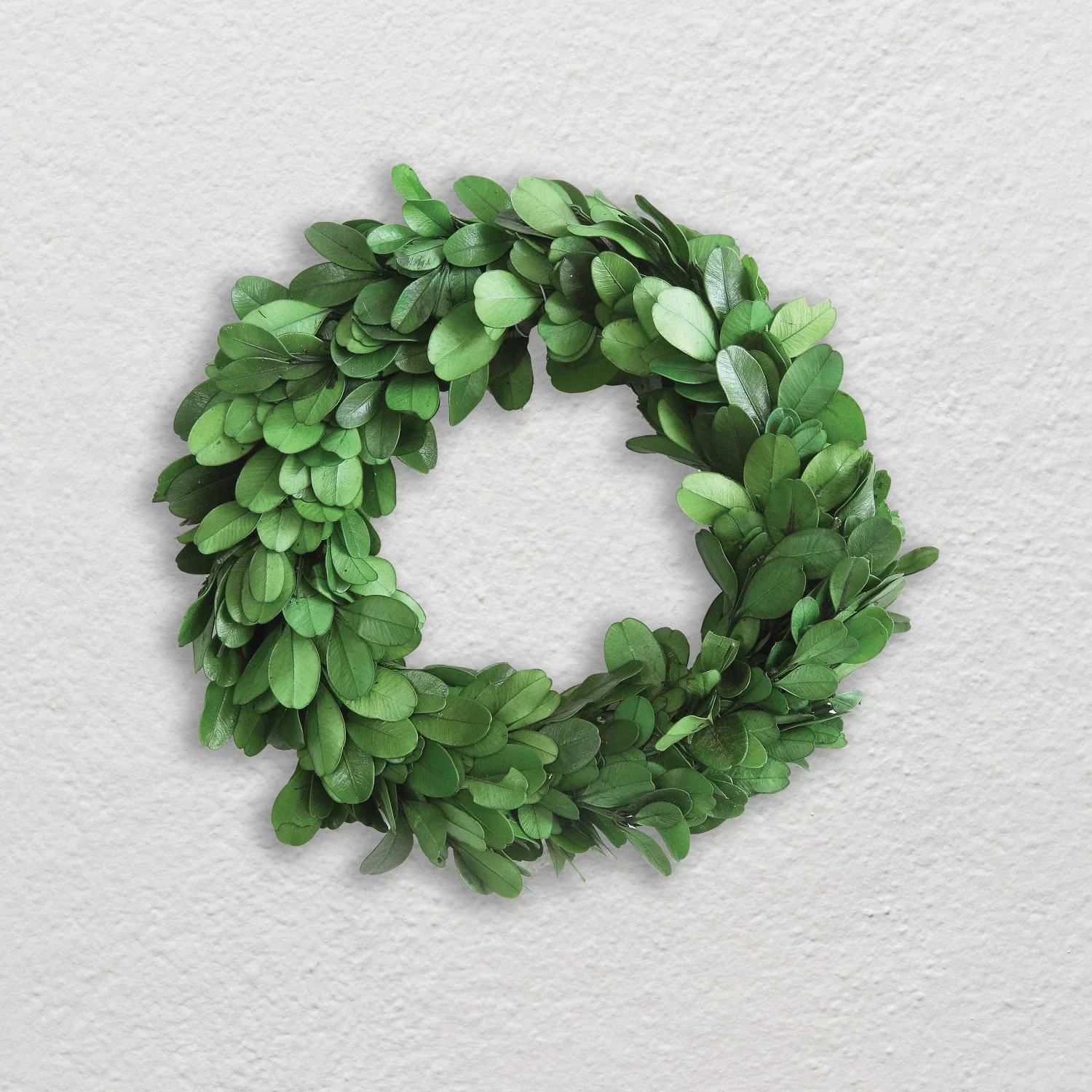 6" Round Preserved Boxwood Wreath - Image 5