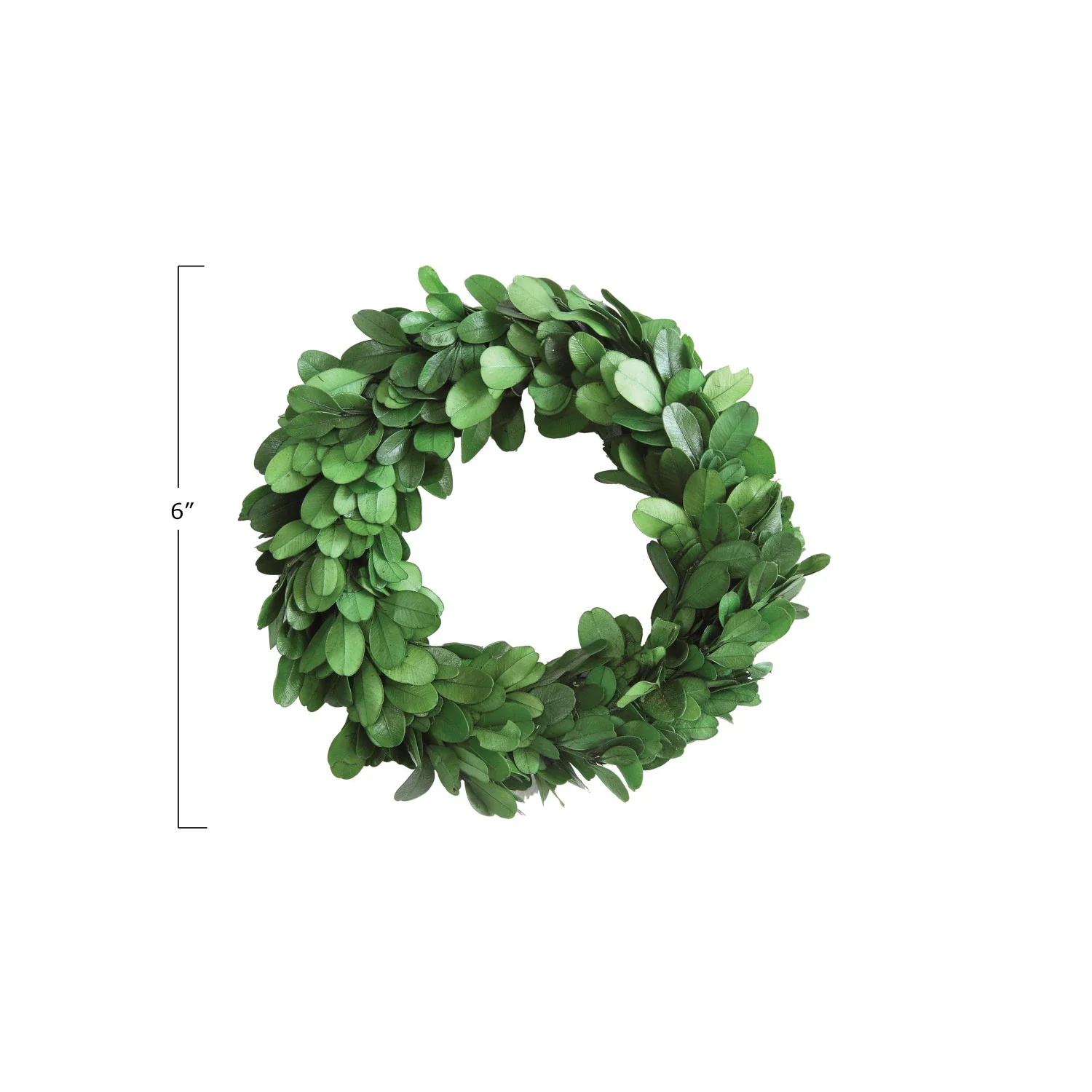 6" Round Preserved Boxwood Wreath - Image 6