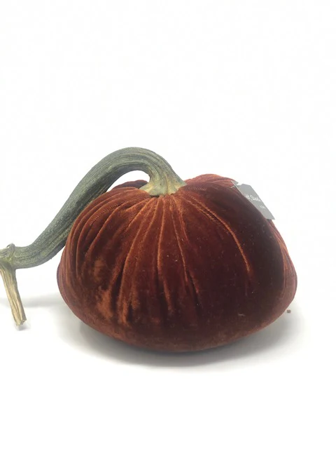 6" Velvet Pumpkin - Image 53