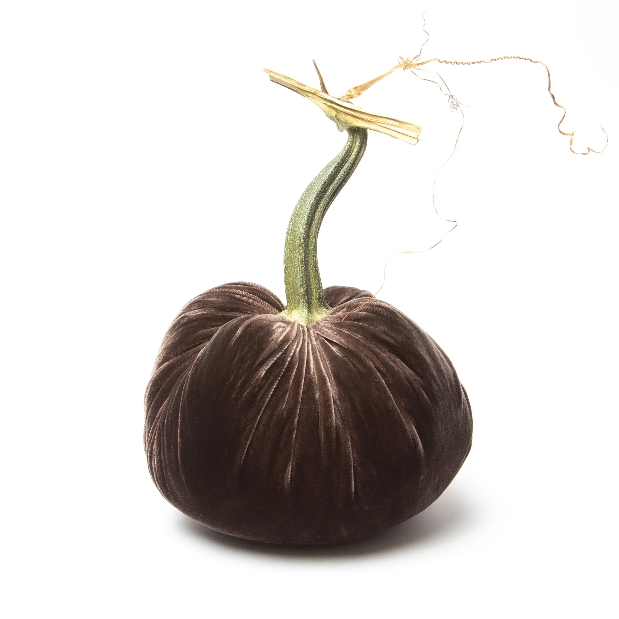 6" Velvet Pumpkin - Image 66