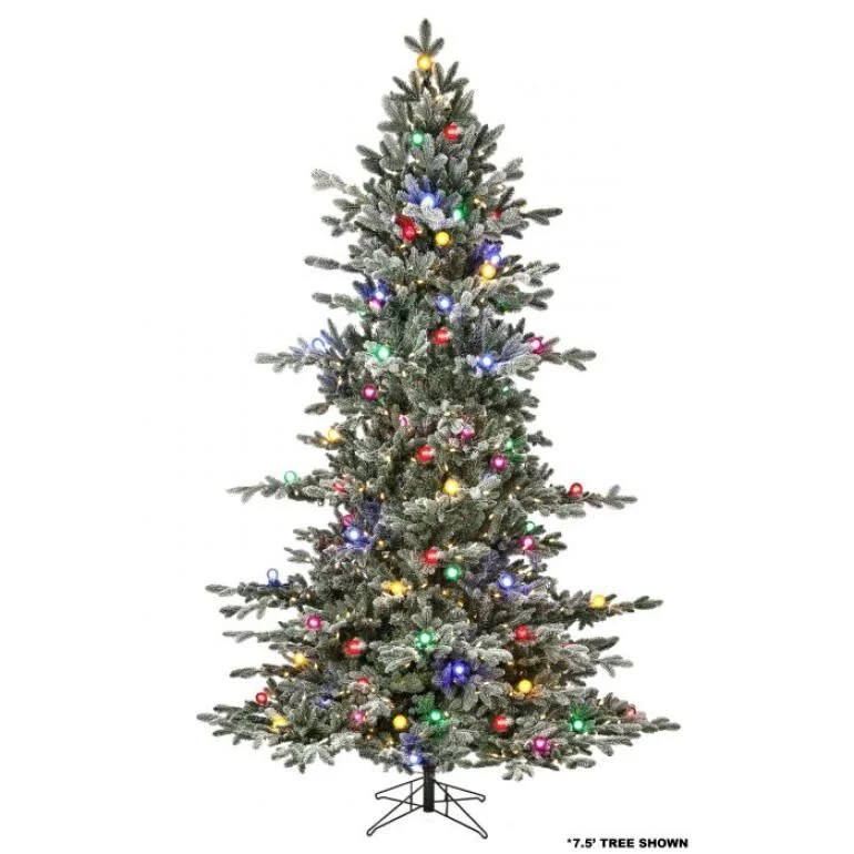 9' Epled Candied SP Tree - Image 2