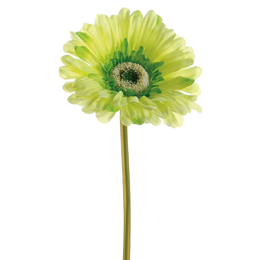 9" Large Gerbera Daisy Stem