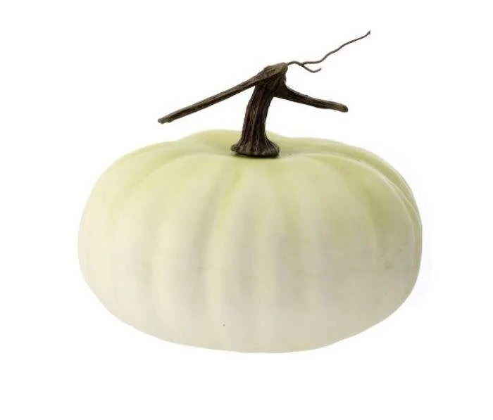 9"X5" LATEX HARVEST PUMPKIN W/VINE CREAM