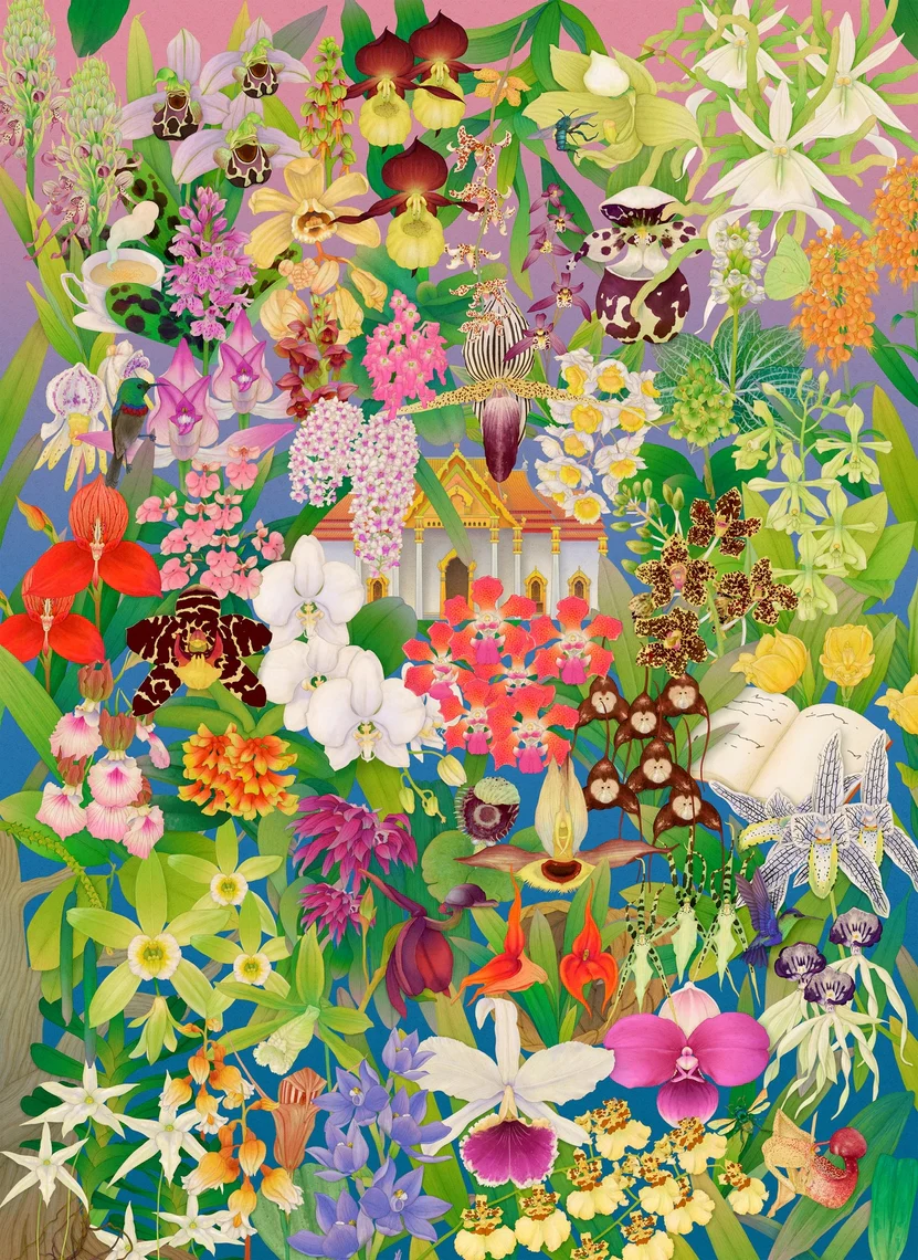 Around the World in 50 Orchids: A 1000-piece Jigsaw Puzzle - Image 2