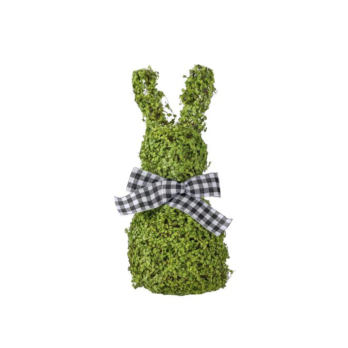 Baby Tears Vine Bunny