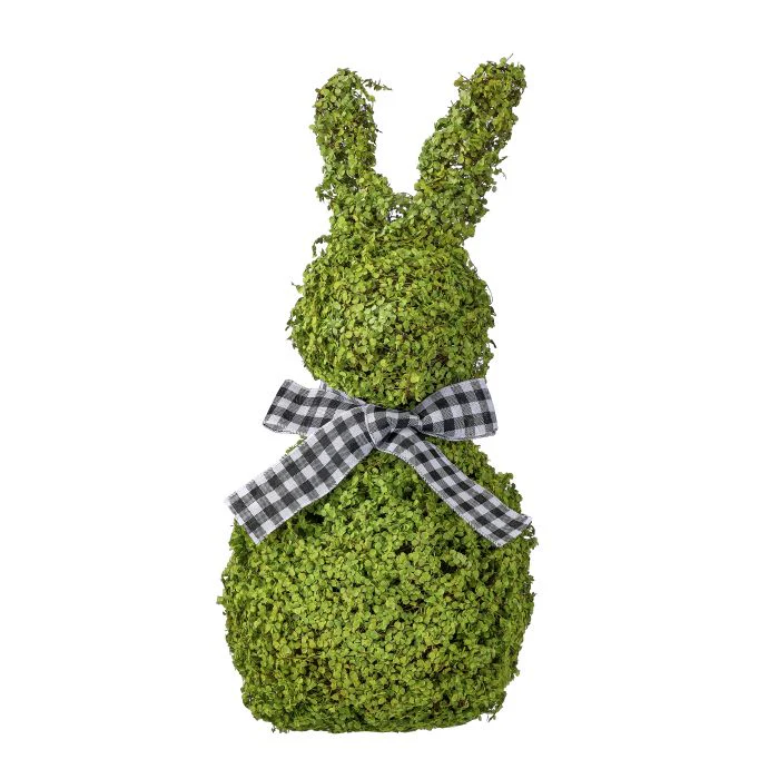 Baby Tears Vine Bunny - Image 3