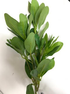 BIRCH LVS GN SPRAY 30IN -GREEN - Image 2