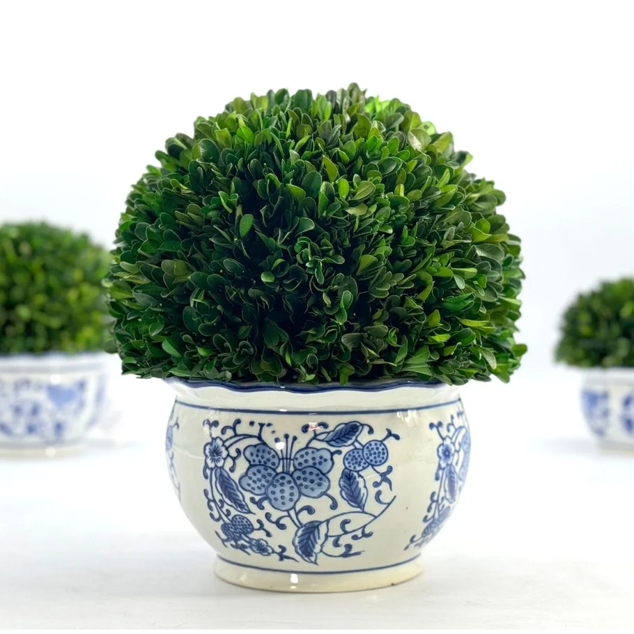 Boxwood Ball Topiary in Round Bulb Blue & White Ceramic Pot - Image 3