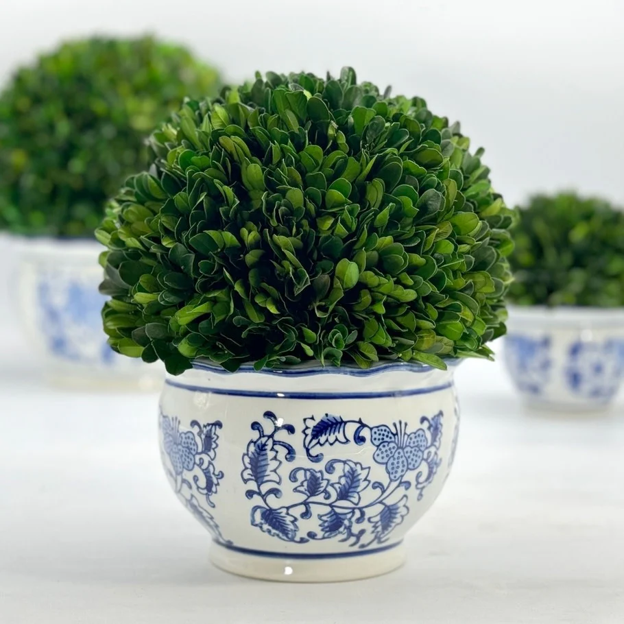 Boxwood Ball Topiary in Round Bulb Blue & White Ceramic Pot - Image 4