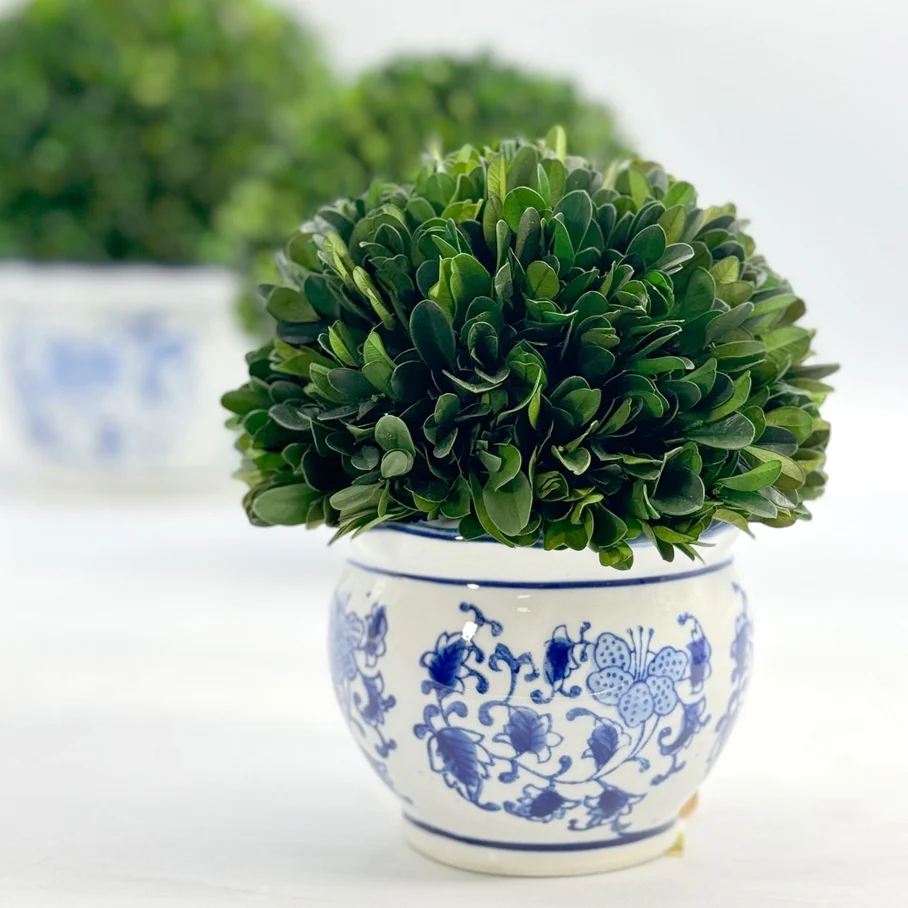 Boxwood Ball Topiary in Round Bulb Blue & White Ceramic Pot - Image 6